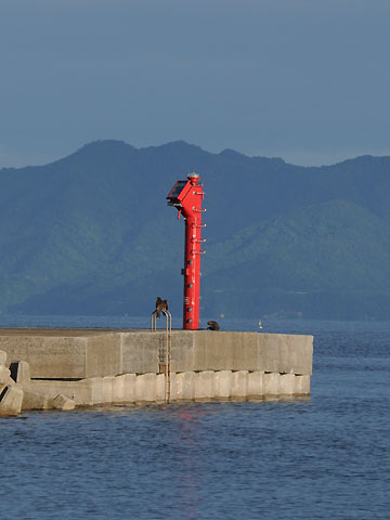 丸島港1号防波堤西灯台