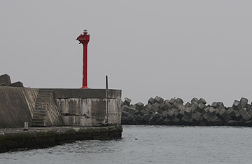 東栄港南防波堤灯台
