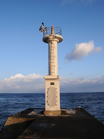 湯の浜港東防波堤灯台